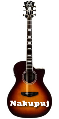 Akustická elektrická gitara D'Angelico Guitars Premier Gramercy
